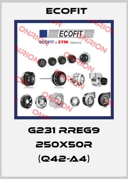 G231 RREG9 250x50R (Q42-A4) Ecofit