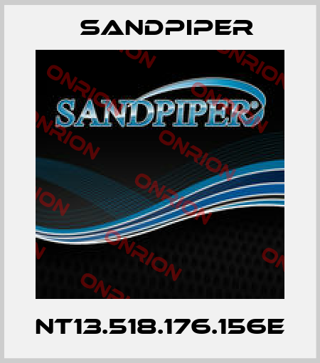 NT13.518.176.156E Sandpiper