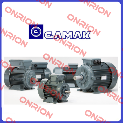 AGM2E 100L 4A-13 (0085162) Gamak