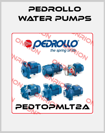 PEDTOPMLT2A Pedrollo Water Pumps
