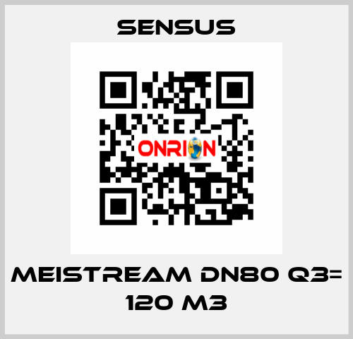 Meistream DN80 Q3= 120 m3 Sensus