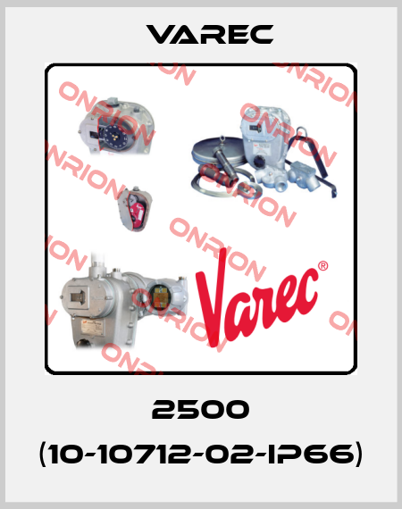 2500 (10-10712-02-IP66) Varec