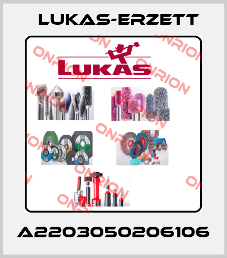 A2203050206106 Lukas-Erzett