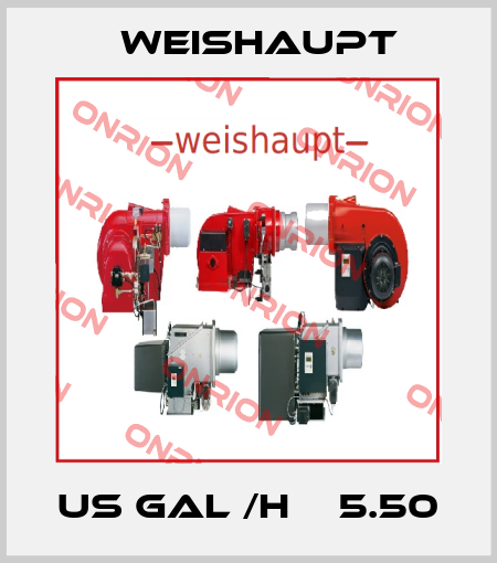 US gal /h    5.50 Weishaupt