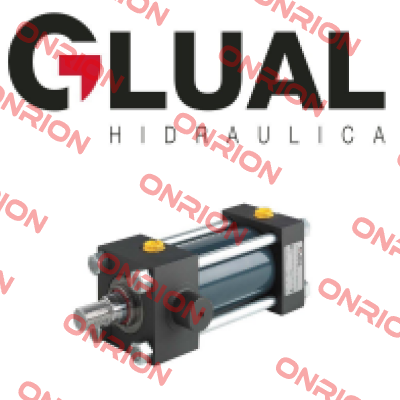 KI-25/18x200-S303-1-AD-T-M-30+25 KI 1149 Glual Hydraulics