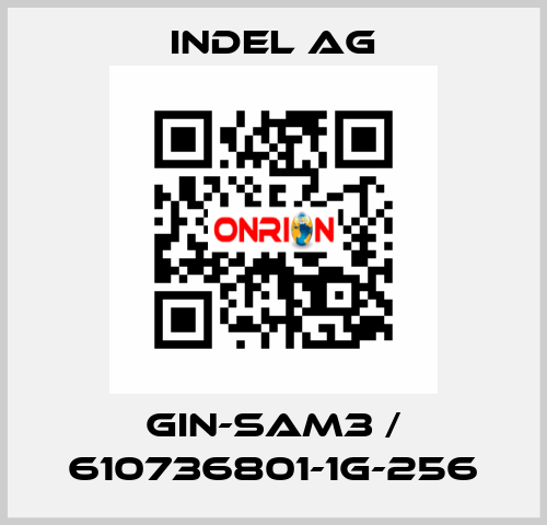 GIN-SAM3 / 610736801-1G-256 INDEL AG