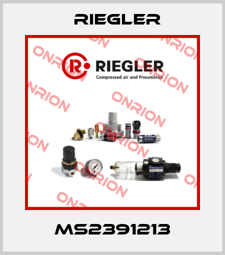 MS2391213 Riegler