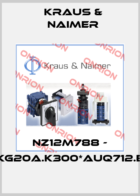 NZ12M788 - (KG20A.K300*AUQ712.E) Kraus & Naimer