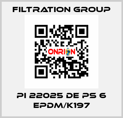 PI 22025 DE PS 6 EPDM/K197 Filtration Group