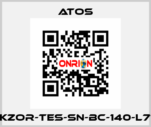 DLKZOR-TES-SN-BC-140-L71/Y Atos