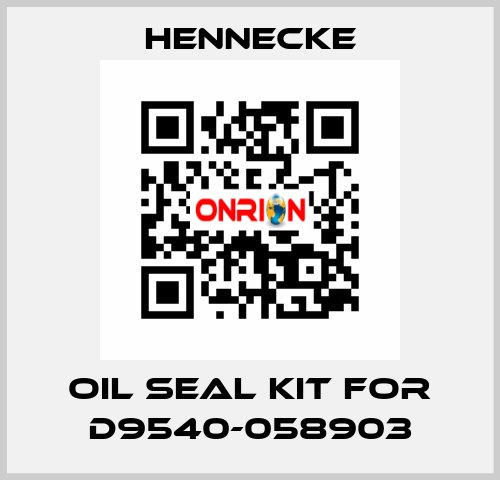 oil seal kit for D9540-058903 Hennecke