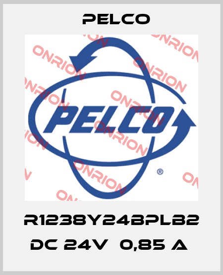 R1238Y24BPLB2  dc 24v  0,85 a  Pelco