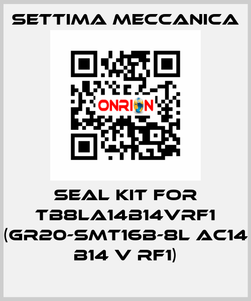 Seal kit for TB8LA14B14VRF1 (GR20-SMT16B-8L AC14 B14 V RF1) Settima Meccanica