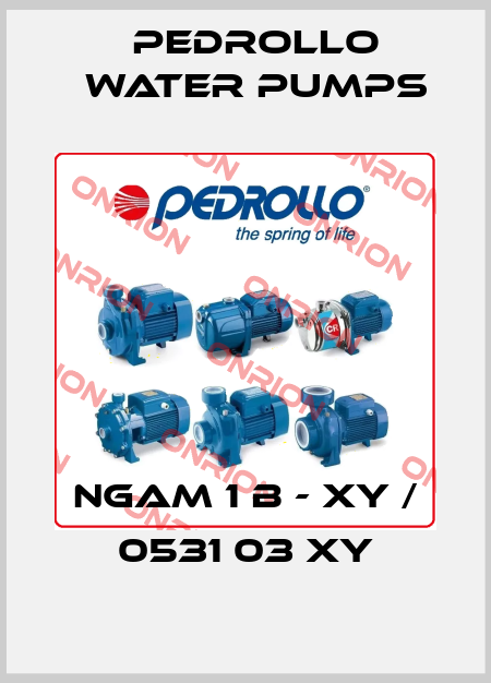 NGAm 1 B - XY / 0531 03 XY Pedrollo Water Pumps