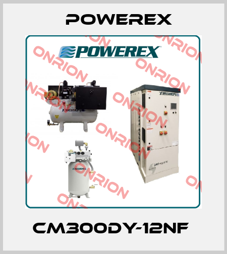 CM300DY-12NF  Powerex