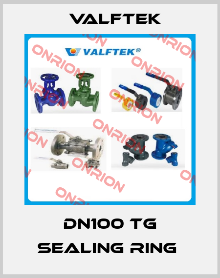 DN100 TG Sealing Ring  Valftek