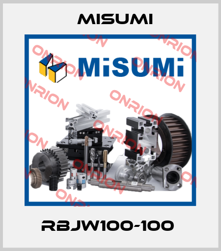 RBJW100-100  Misumi