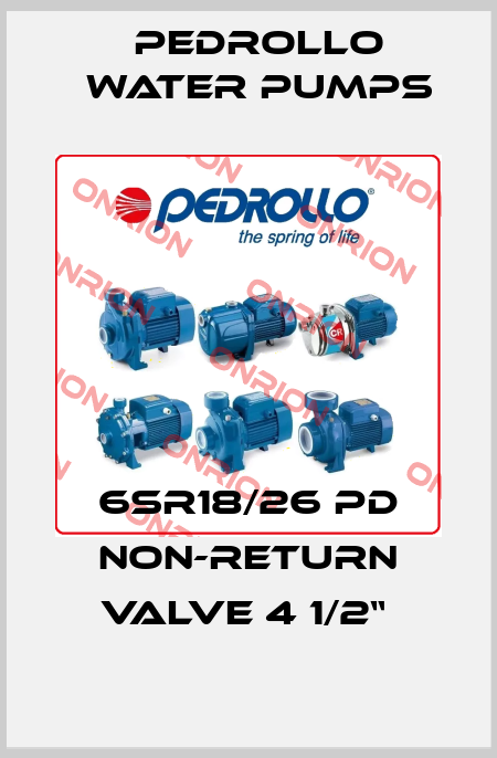 6SR18/26 PD Non-return valve 4 1/2“  Pedrollo Water Pumps
