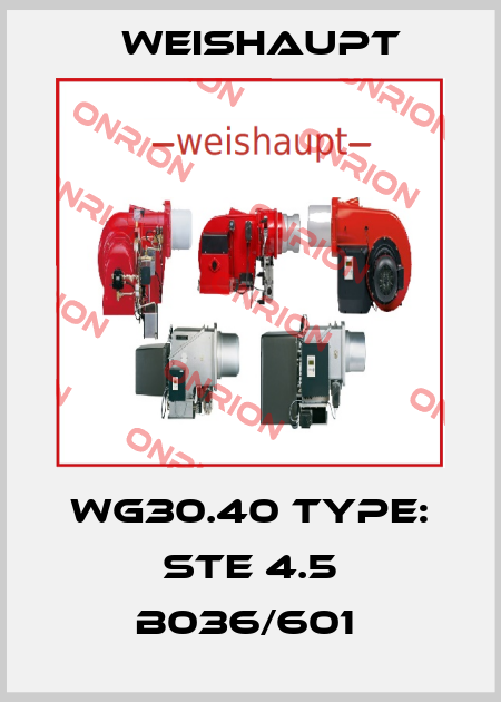 WG30.40 Type: STE 4.5 B036/601  Weishaupt