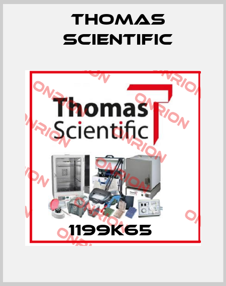 1199K65  Thomas Scientific