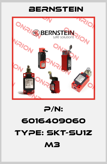 P/N: 6016409060 Type: SKT-SU1Z M3  Bernstein