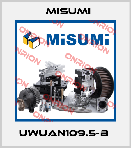 UWUAN109.5-B  Misumi