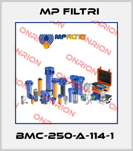 BMC-250-A-114-1  MP Filtri