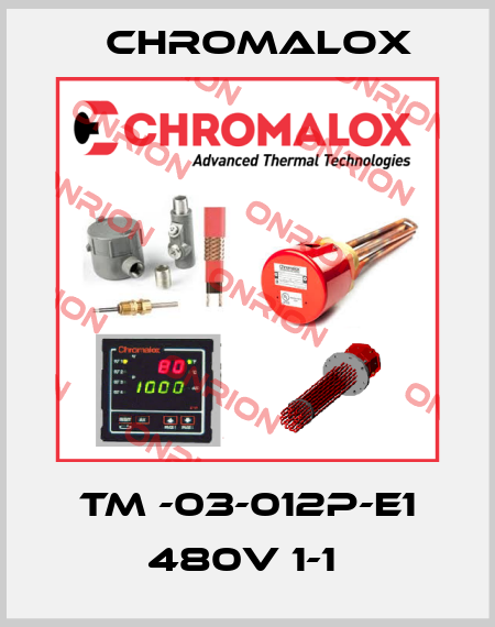 TM -03-012P-E1 480V 1-1  Chromalox
