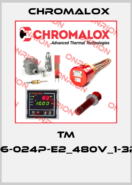 TM -06-024P-E2_480V_1-3P_  Chromalox