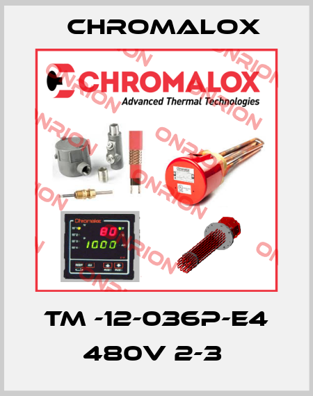 TM -12-036P-E4 480V 2-3  Chromalox
