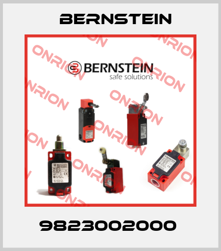 9823002000  Bernstein
