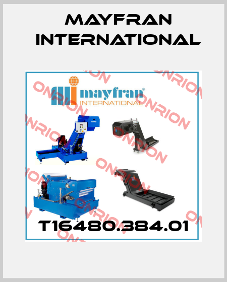 T16480.384.01 Mayfran International