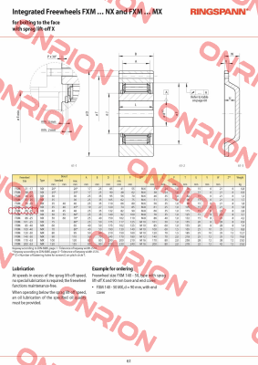 P/N: 4867-066300-040H33, Type: FXM 66-25 NX Ringspann