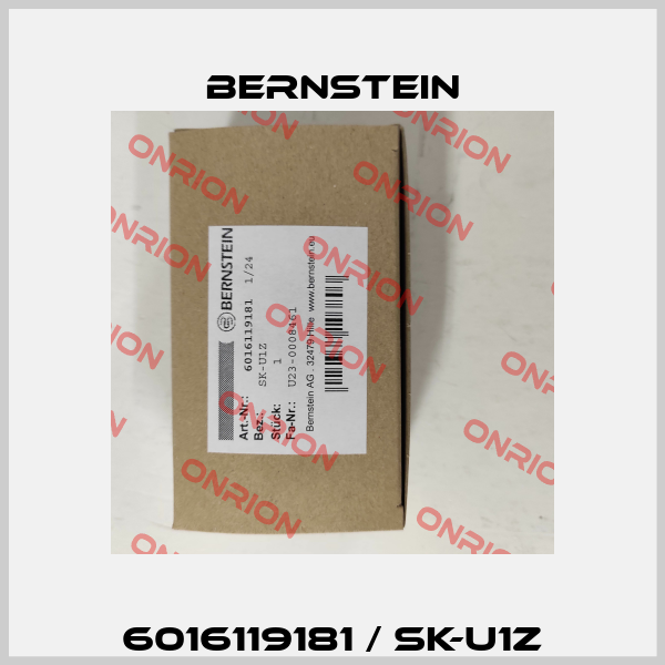 6016119181 / SK-U1Z Bernstein