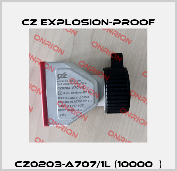 CZ0203-A707/1L (10000Ω) CZ Explosion-proof