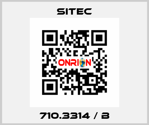 710.3314 / b SITEC