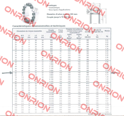 4201-060001-000000  Ringspann