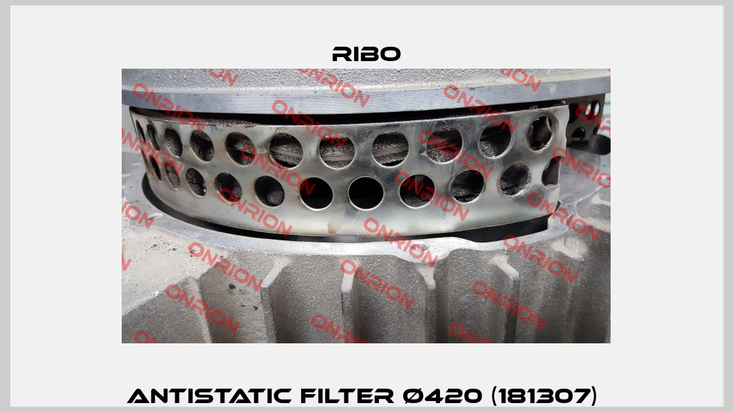 Antistatic filter Ø420 (181307)  Ribo