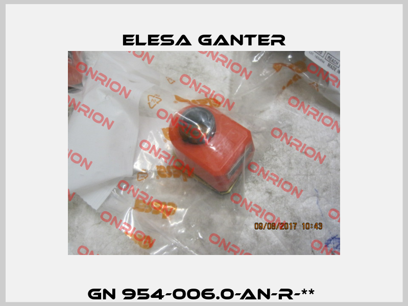 GN 954-006.0-AN-R-**  Elesa Ganter