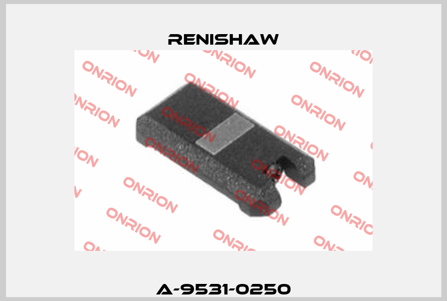A-9531-0250 Renishaw
