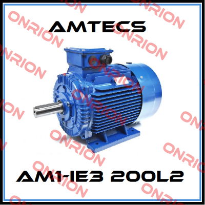 AM1-IE3 200L2 Amtecs