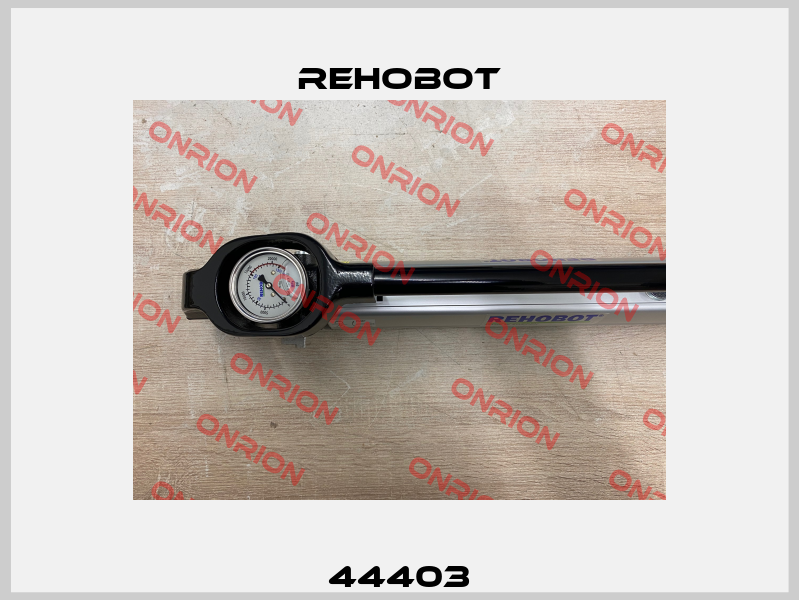 44403 Rehobot