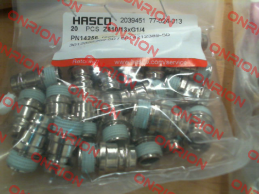 2039451 (Z810/13xG1/4) Hasco