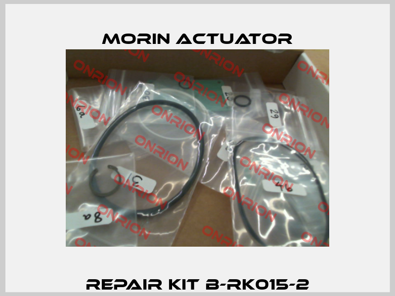 Repair Kit B-RK015-2 Morin Actuator