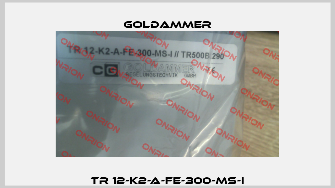 TR 12-K2-A-FE-300-MS-I Goldammer