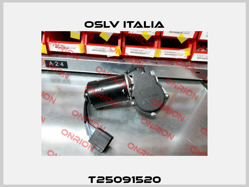 T25091520 OSLV Italia