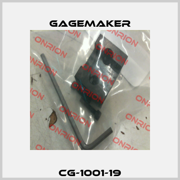 CG-1001-19 Gagemaker