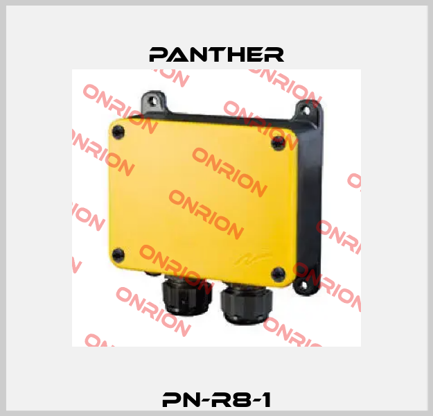 PN-R8-1 Panther