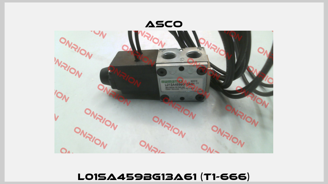 L01SA459BG13A61 (T1-666) Asco