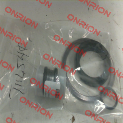 REPAIR KIT FOR F-515-S6-F-66-FS (2") Nibco